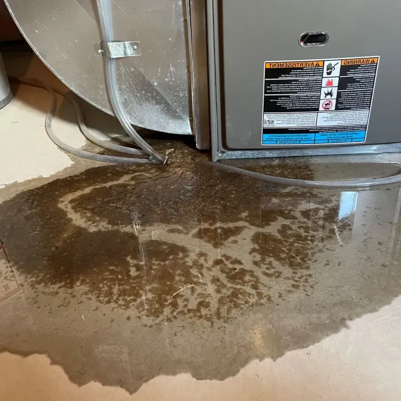 Pipe Burst and Leak Restoration in West Puente Valley, CA